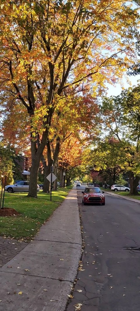 The colors of autumn