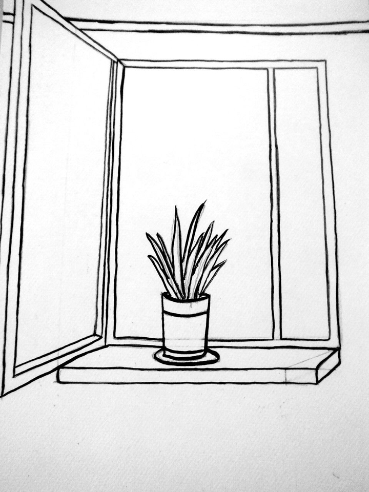window plant