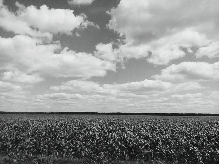 nature.