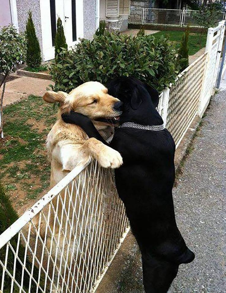 meet a neighbour