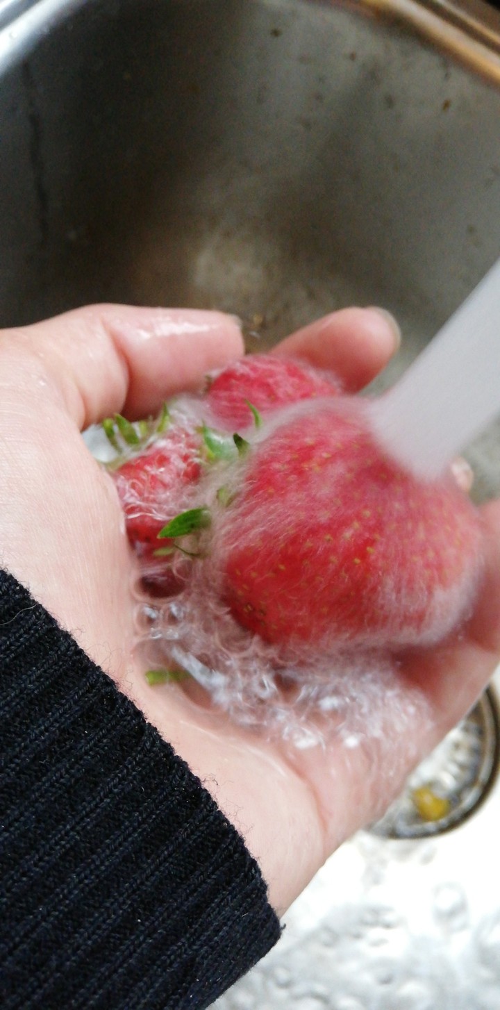 watering the fruits