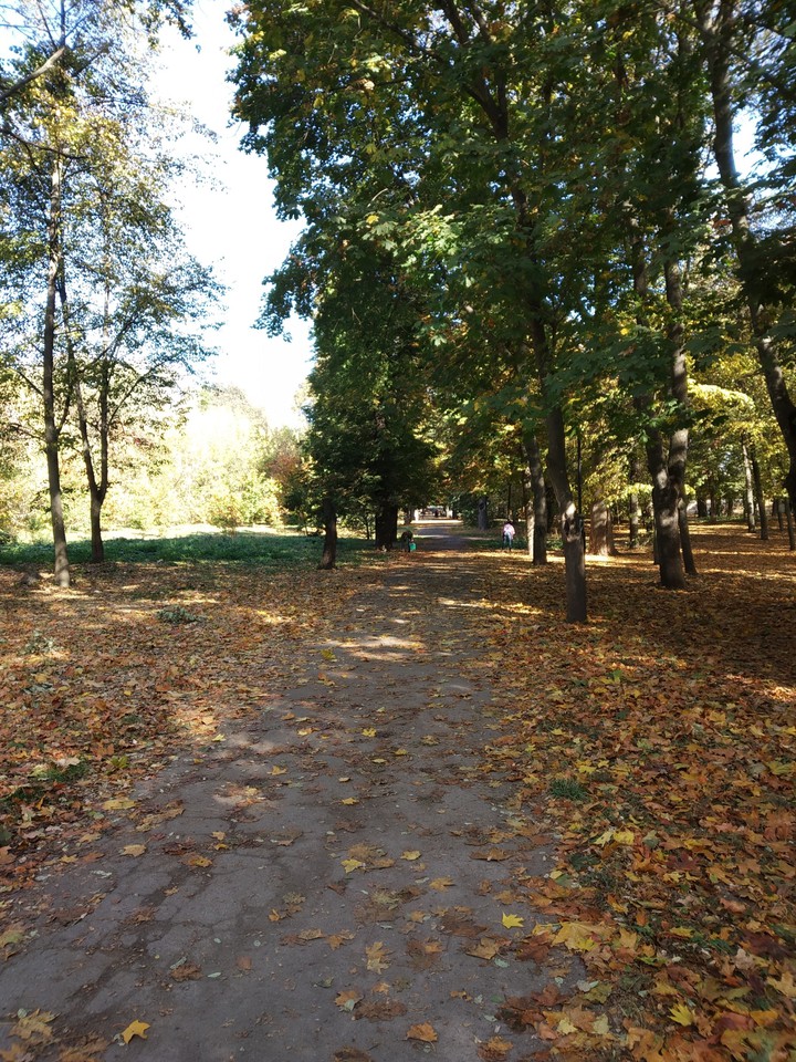 Природа осенью