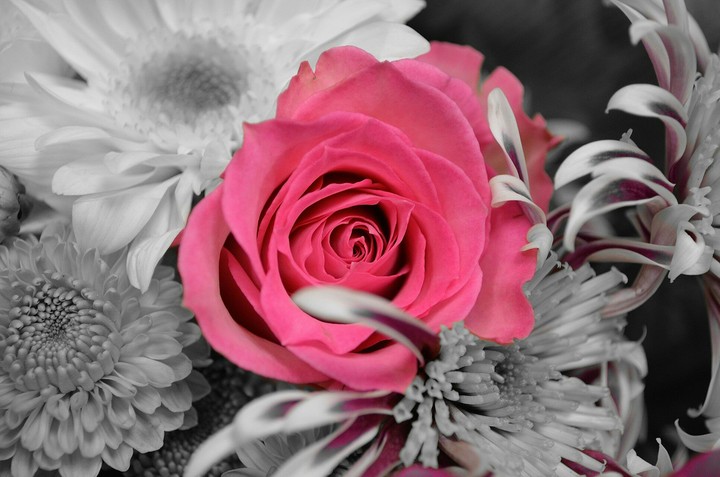 flower