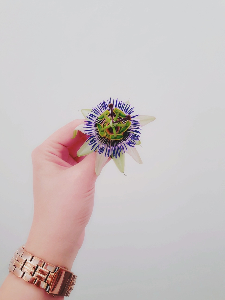 you are beautifull