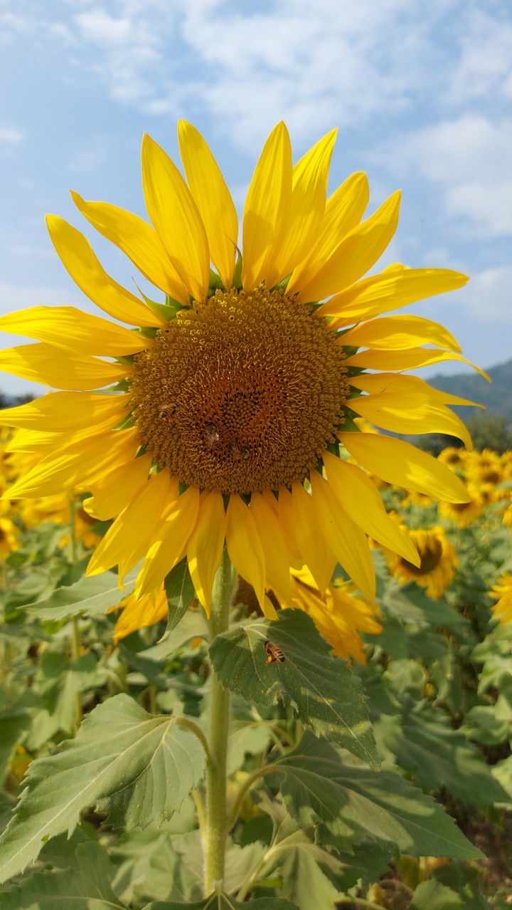 .