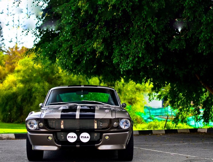 Mustang