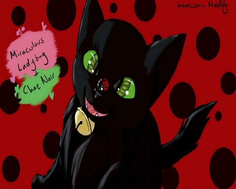 Miraculous Ladybug & Chat noir