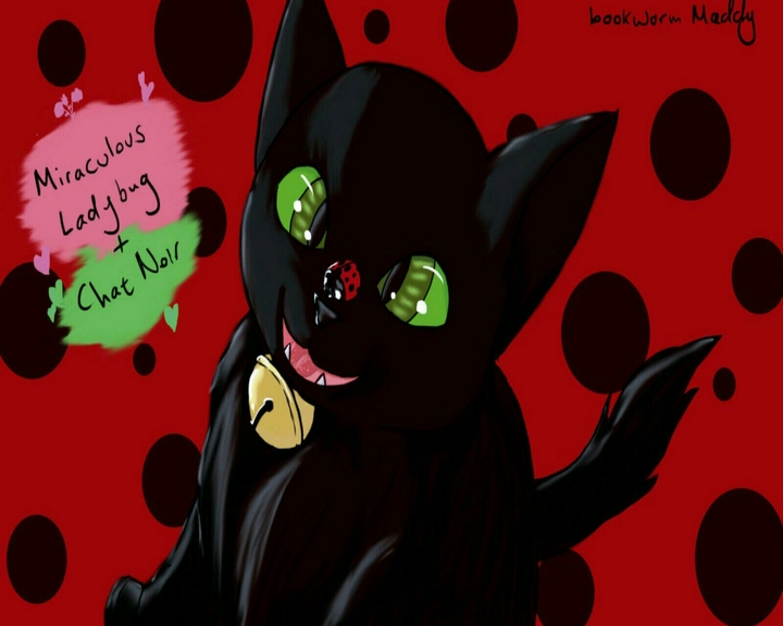 Miraculous Ladybug & Chat noir