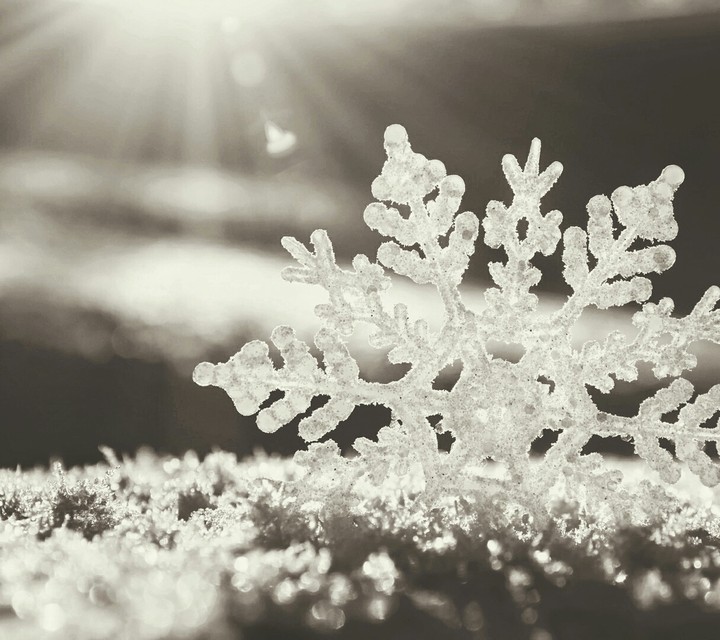 love winter
