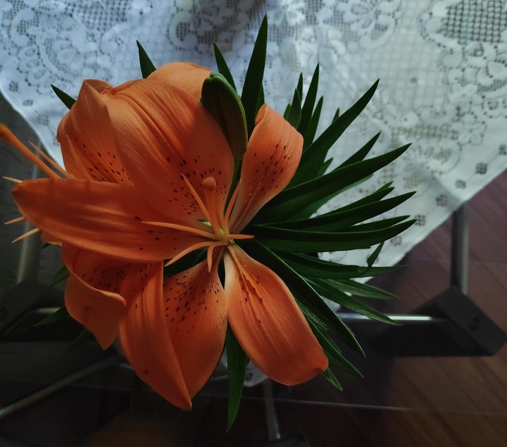 flor