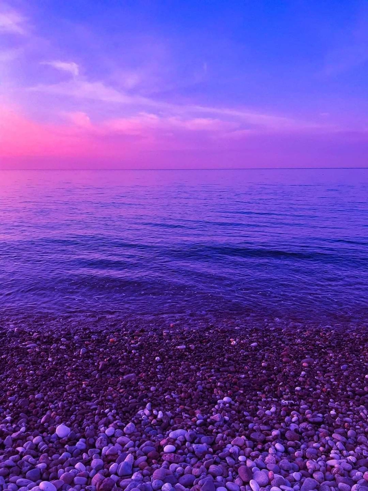 Purple?