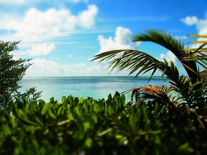 Maldives