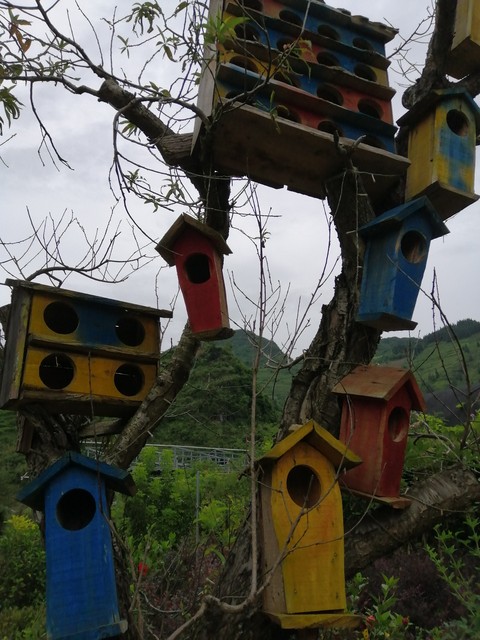 Birdhouse