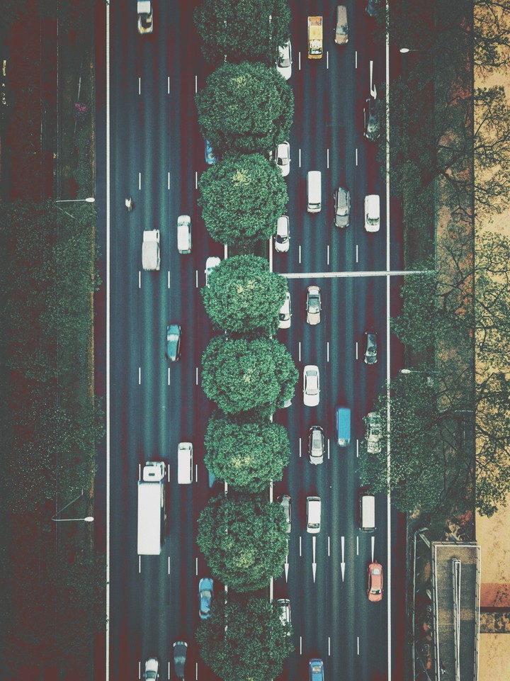 monte