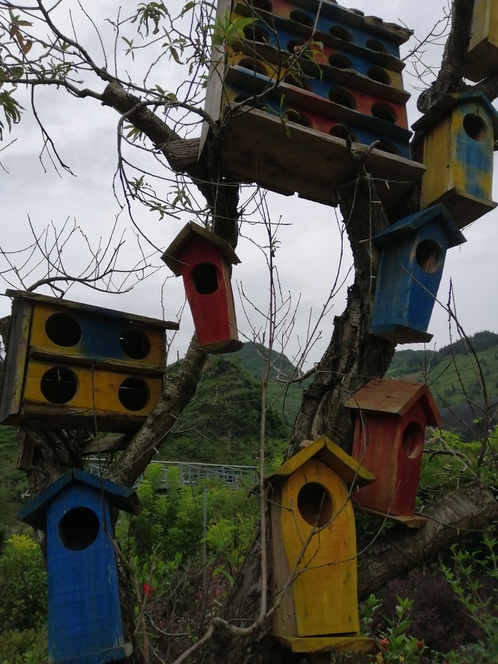 Birdhouse