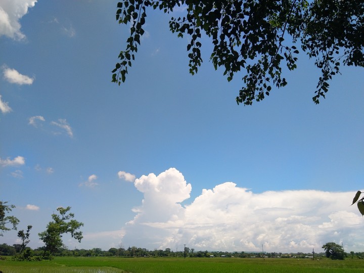 #nature#