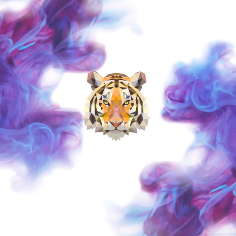 tiger тигр