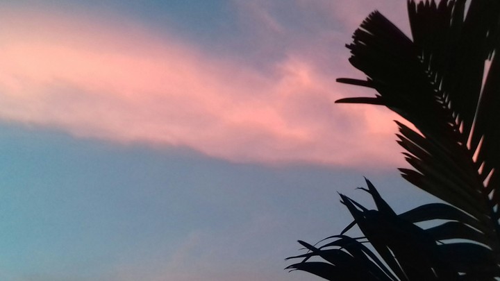 pink clouds
