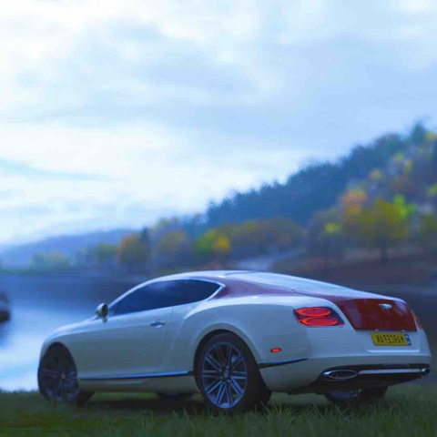 Bentley in forza