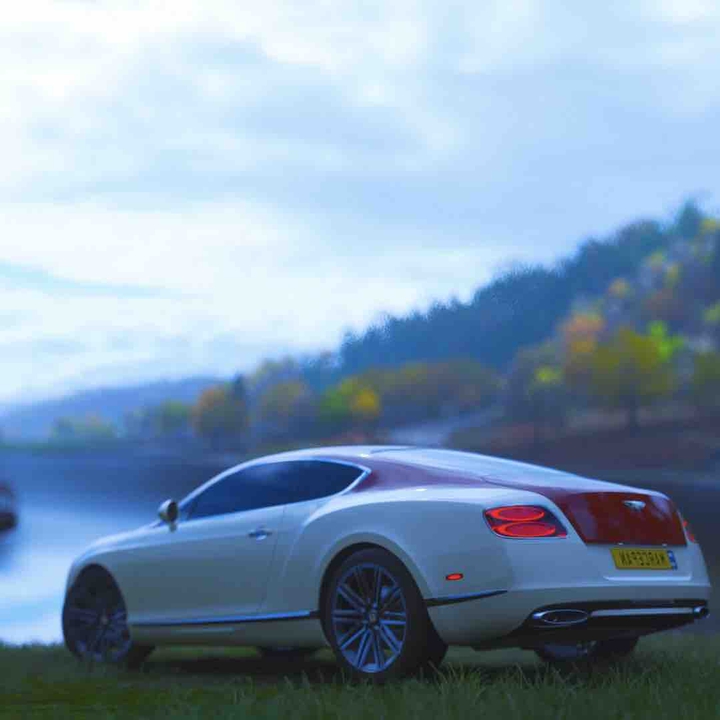Bentley in forza