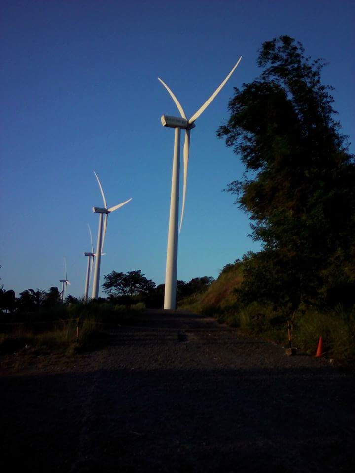the wind mill