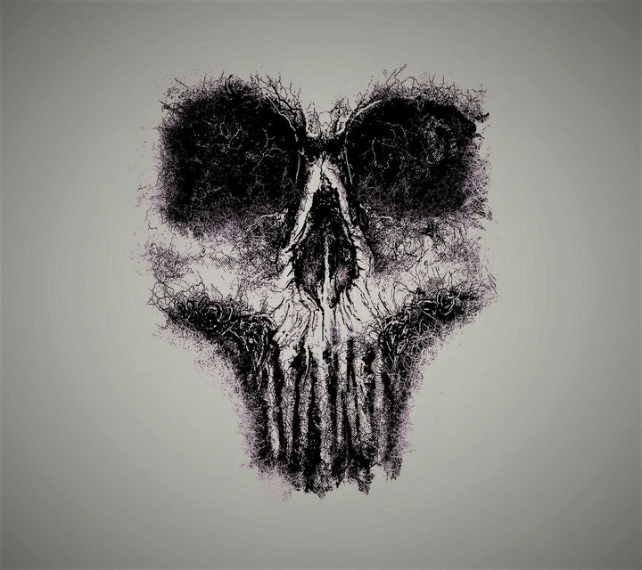 skull