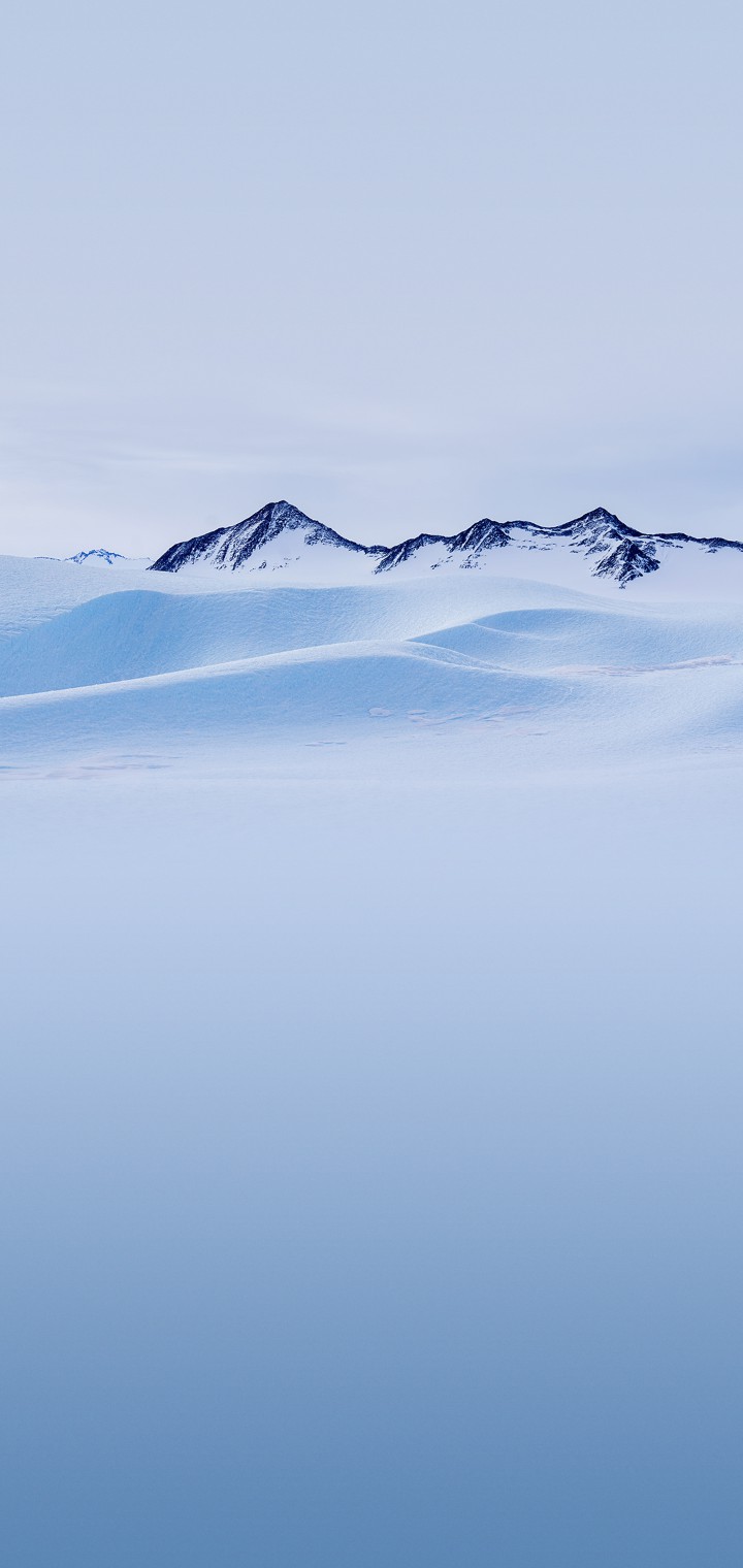 cold