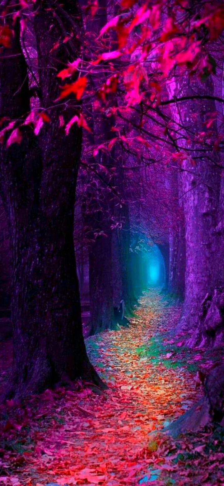path