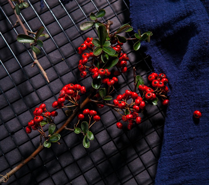 red fruits
