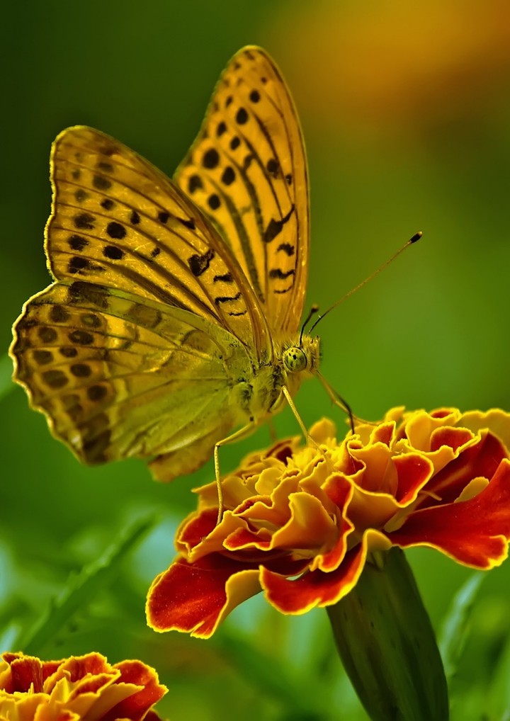 wonderful picture!