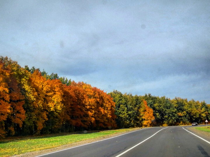 autumnroad