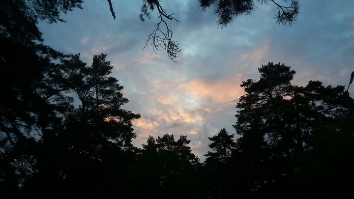 sky