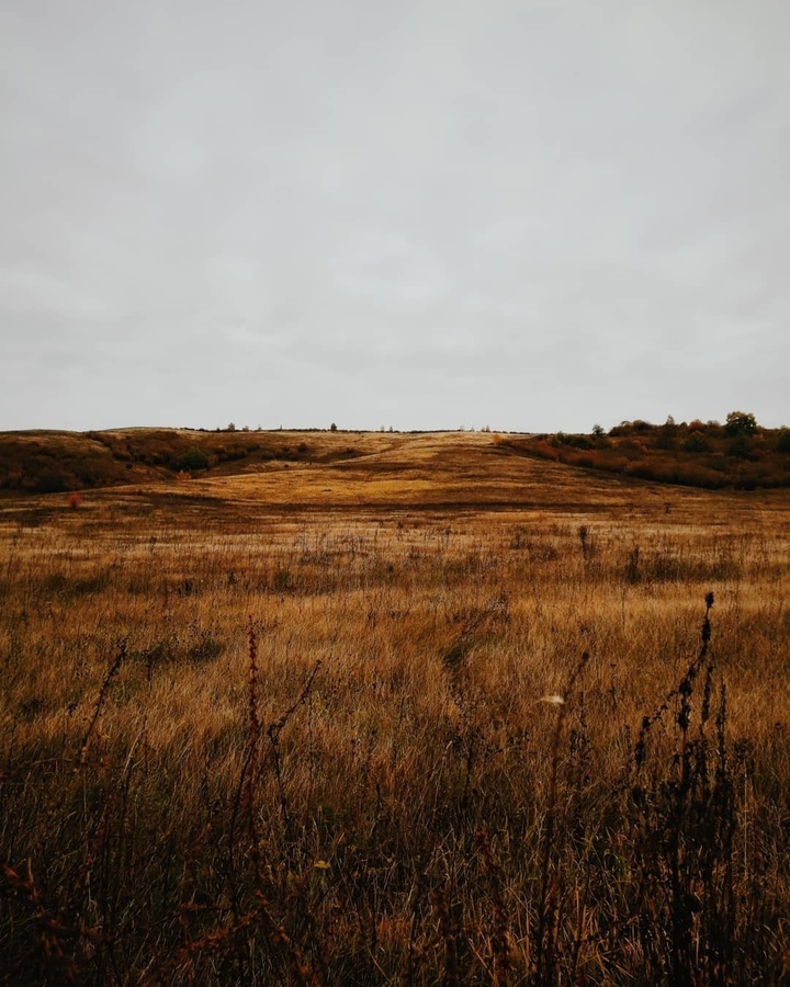 Осень