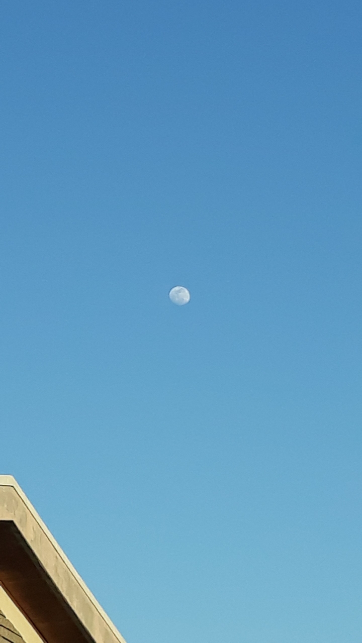 겨울 하늘