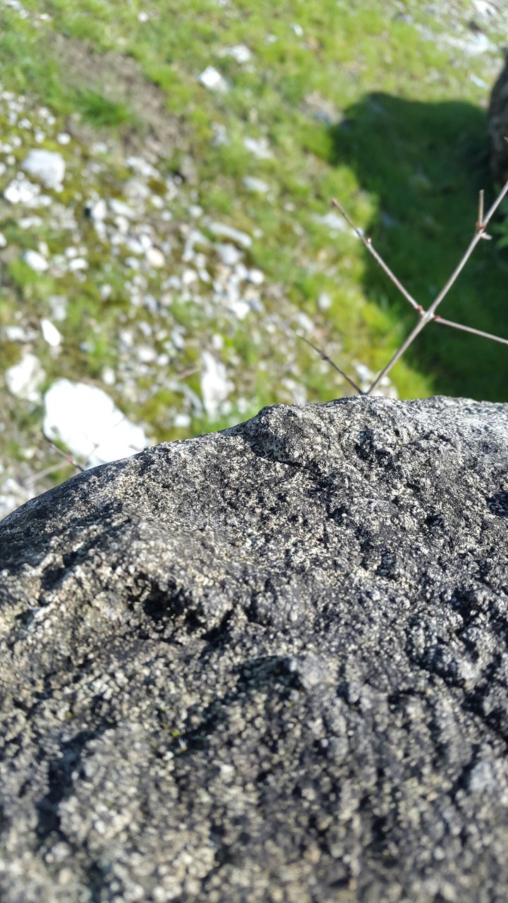 STONE