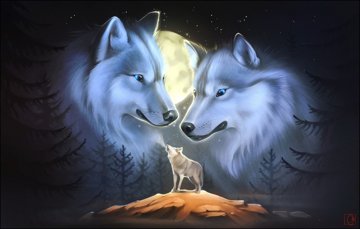 animals