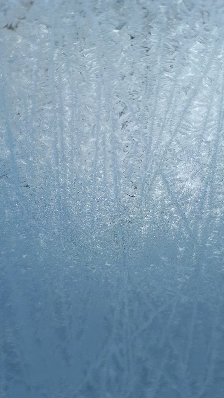 fairytale  winter's