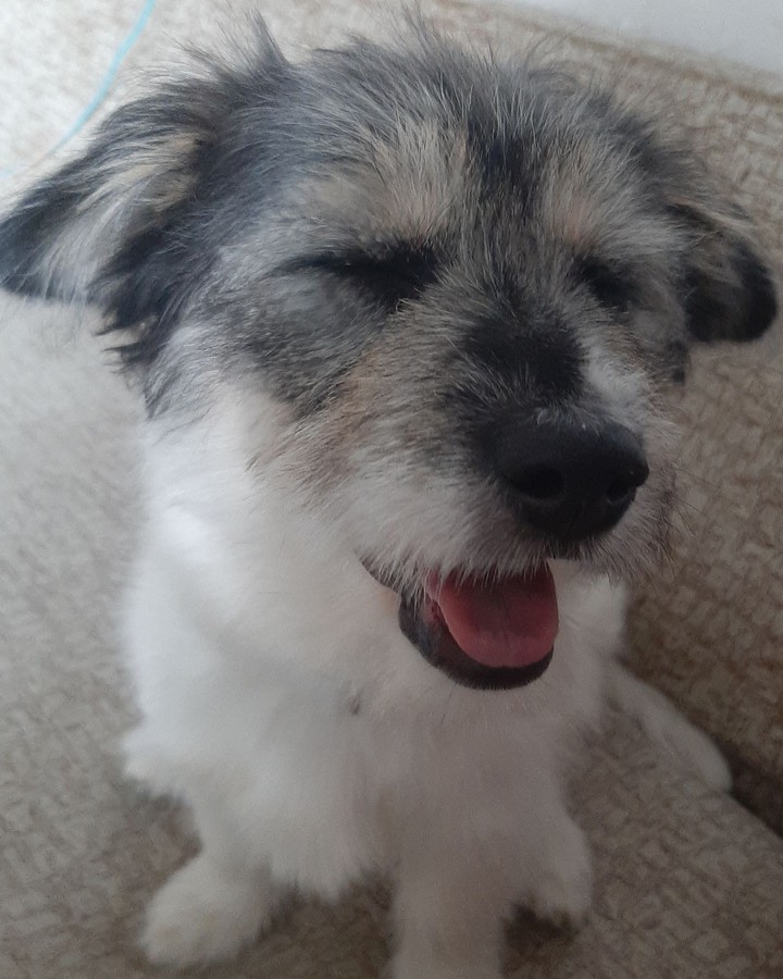 happy