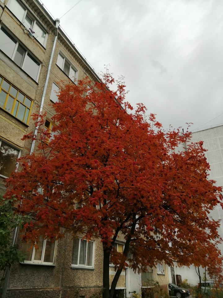 осень