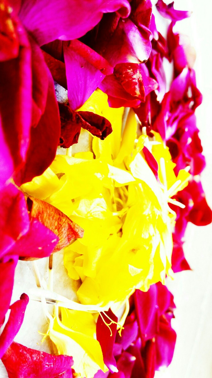 colours