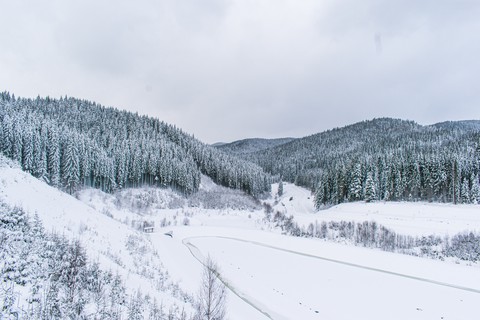 Blue&White & Black in Nature