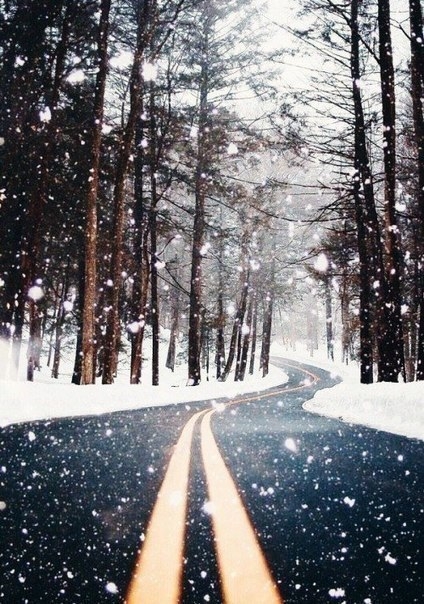 Winter