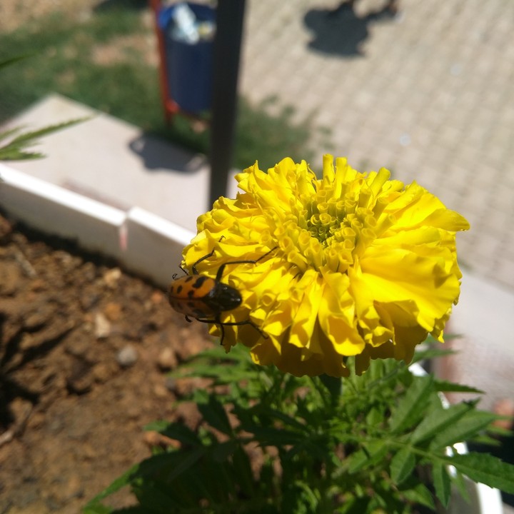 Kemaliye Turkey