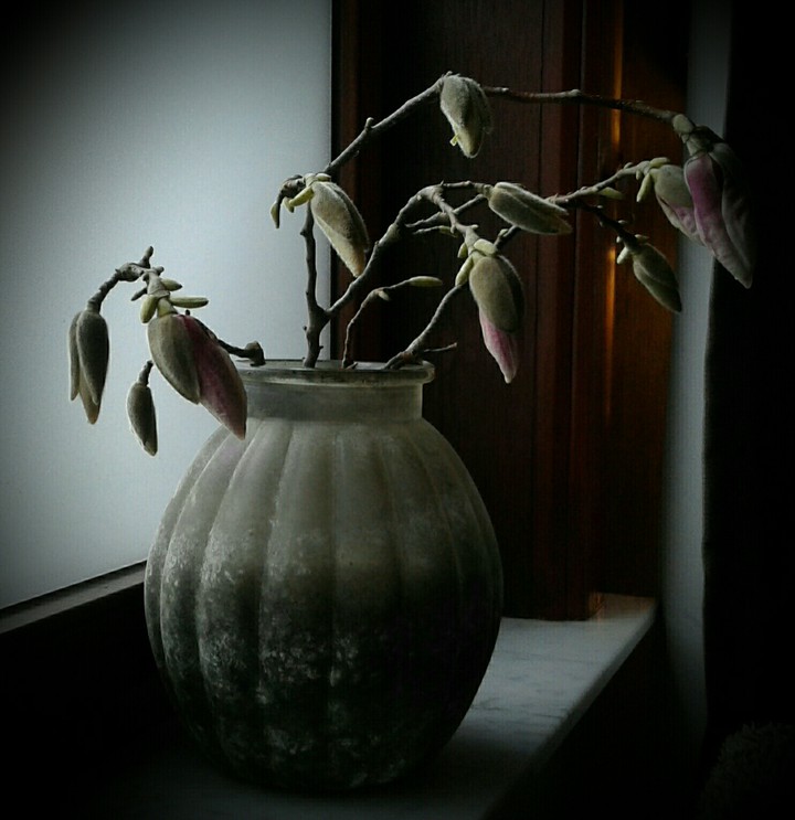 waiting for spring