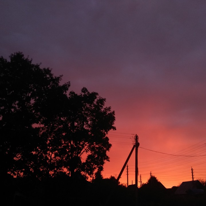 sunset