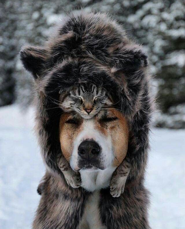 cute♥♥