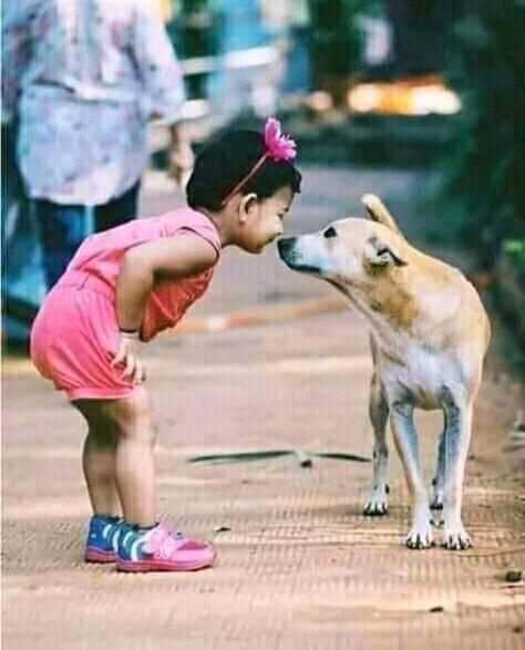 ❤❤❤lavli pic