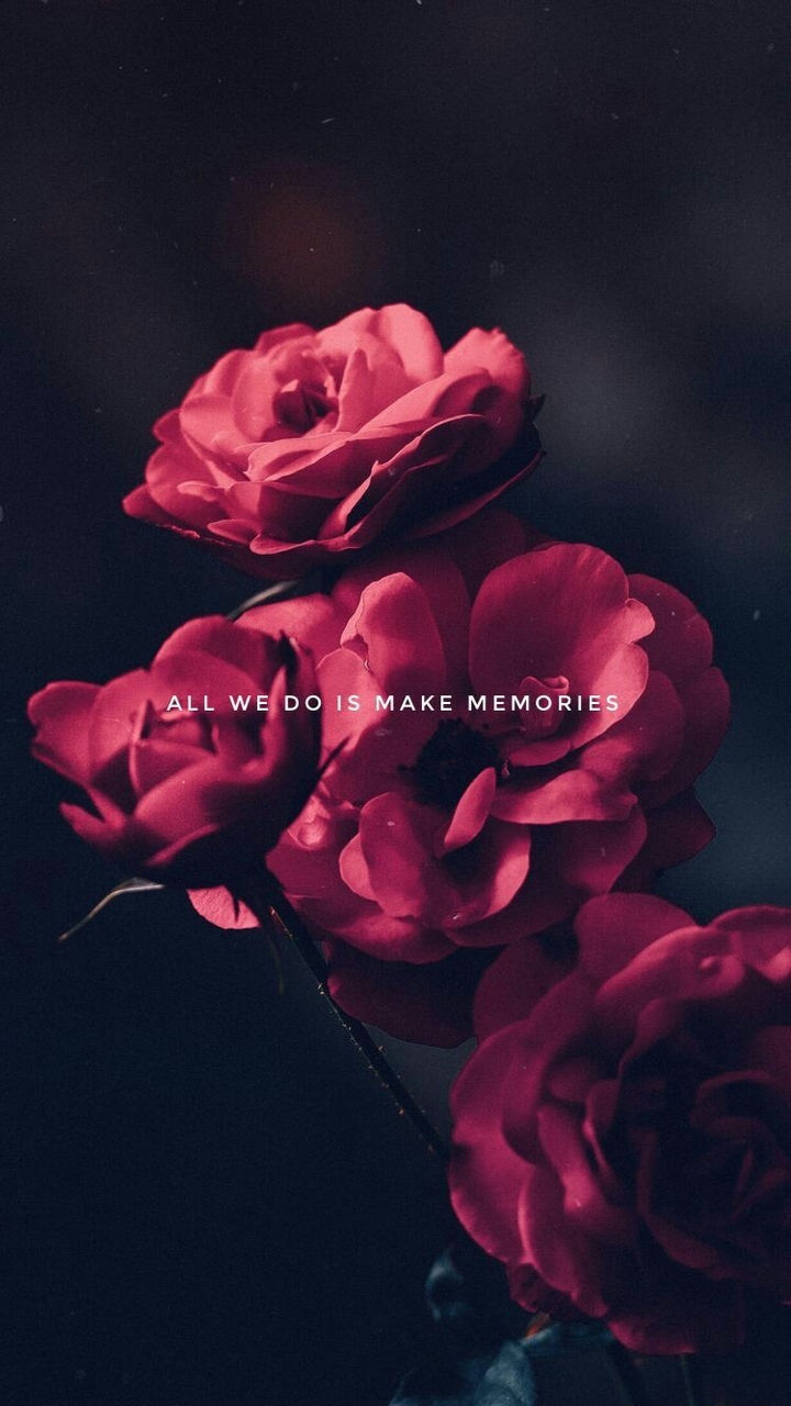 Roses and thorns