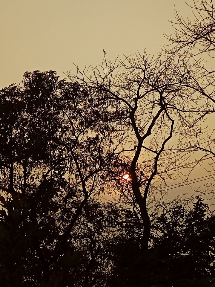 dusk