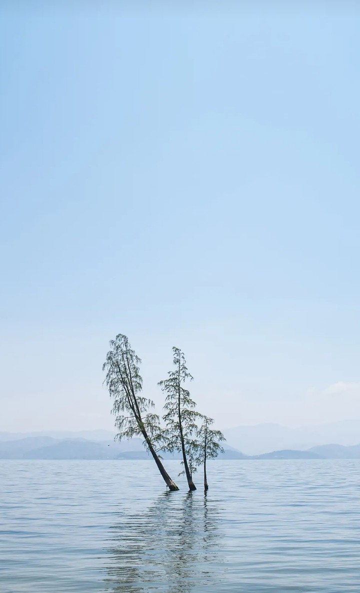 Water